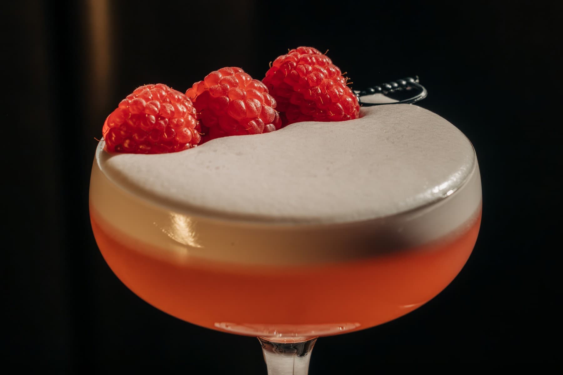 Close Up of Gus' Sip And Dip Clover Club Cocktail